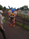cameraroll-1306131502.829298.jpeg